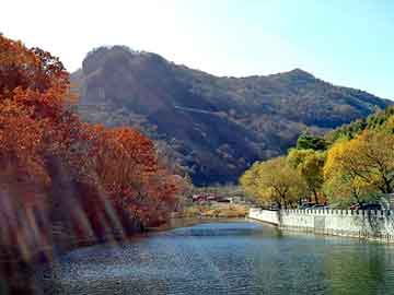 范文芳几岁，都市言情小说完结